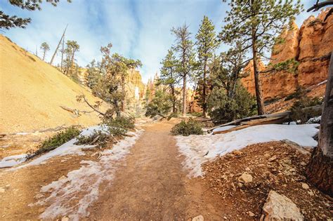 Hiking Navajo Loop And Queens Garden Trail In Bryce Canyon National Park