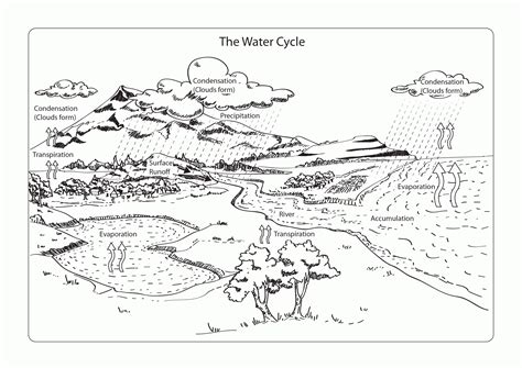 Water Cycle Coloring Page Pdf Pin On Science Water Cycle This Water