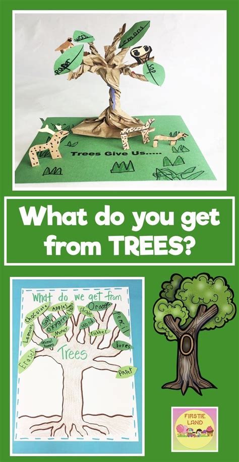 Learning About Trees Was A Fun Activity For My First Grade Students