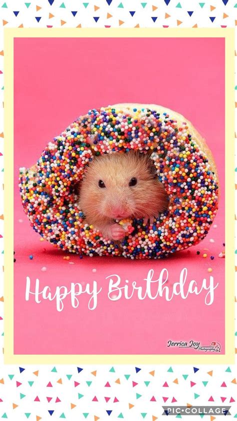 Tổng Hợp Cute Animals Happy Birthday Những Hình ảnh đáng Yêu Và Hạnh