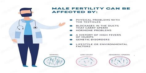 Male Infertility Symptoms Causes And Treatment Dr Mona