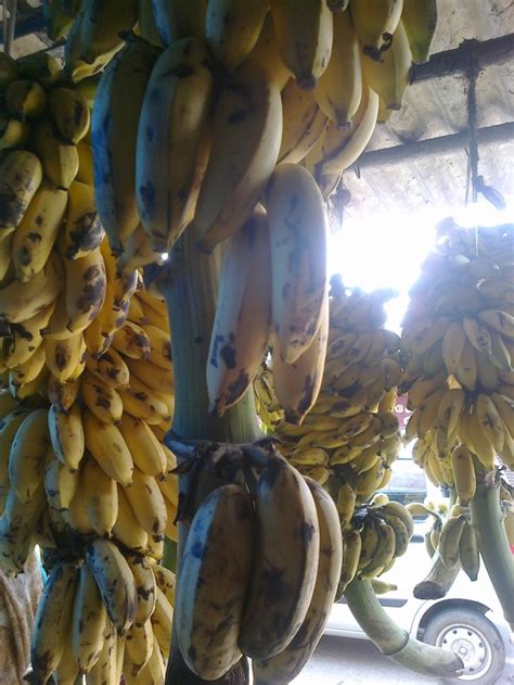 Bananas N Bananas In Kerala Kiwicolors