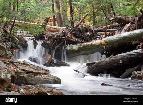 Waterfall At Ricketts Glen State Parkbentonpennsylvaniausa Stock