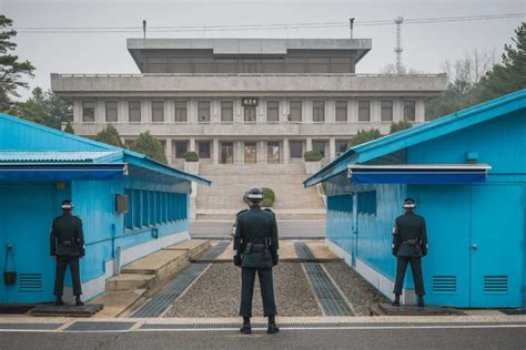How To Choose The Best Dmz Tour 2023 Edition
