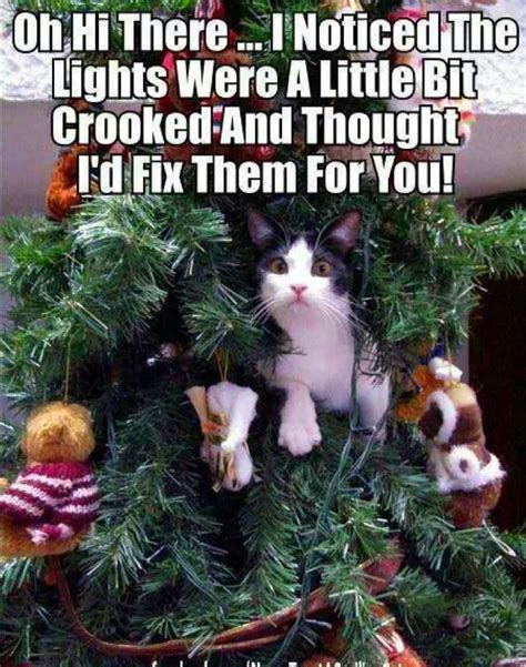 19 Very Funny Christmas Tree Meme That Make You Laugh Memesboy