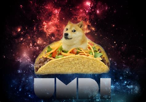 Doge On A Taco In Da Space Un Modello Da Imitare By Italightning On