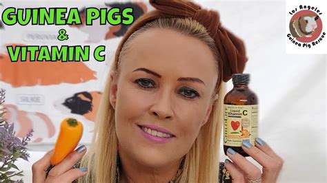 There's a huge amount of information available on the subject and it's easy to get bogged down with figures, intakes and supplements not to mention milligrams. Guinea Pig Vitamin C Supplementation? - YouTube