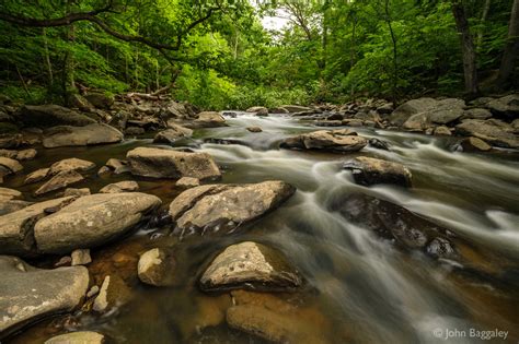 John Baggaley Photography Going Wide At Rock Creek Park