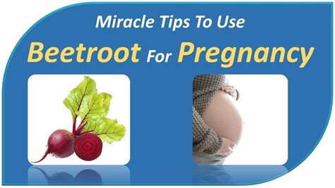 Miracle Tips To Use Beetroot For Pregnancy Health Benefits Of Beetroot For Pregnnancy Youtube