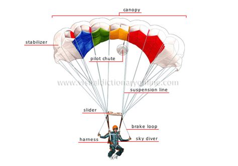 Sports And Games Aerial Sports Parachuting Parachute Image