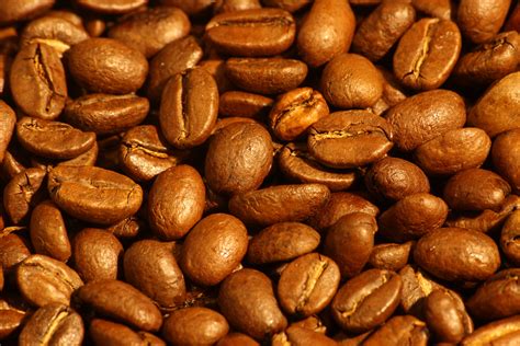 filemedium roasted arabica coffee beansjpg wikipedia