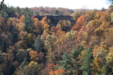 Filenatural Bridge State Park Kentucky Wikipedia The Free