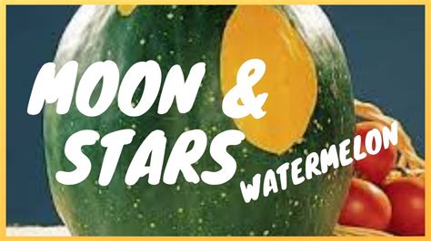 Moon And Stars Watermelon Youtube