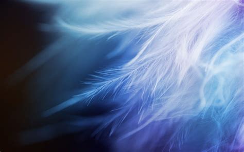 Blue Feather Wallpaper