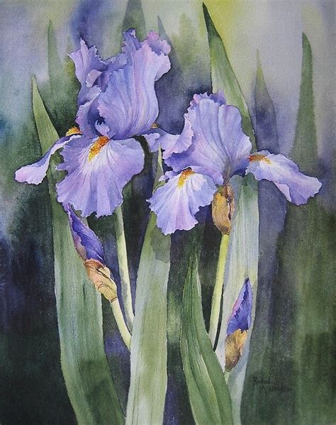 A Watercolour Painting Of Pale Purple Mauve Irises Against And Out Of