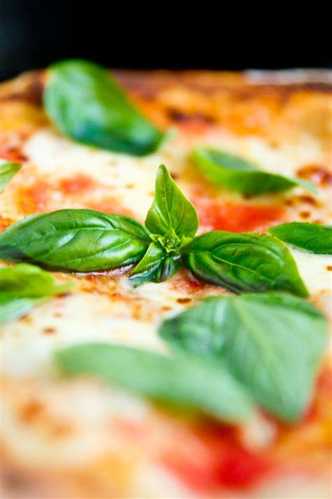 Pizza Margherita Recipe Margherita Recipe Margherita Pizza Recipes