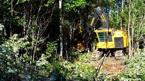 Fellerbunchers Tree Harvesting Timberpro Tigercat Youtube