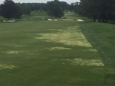 Wvccgreens Summertime Bermudagrass Suppression In Action