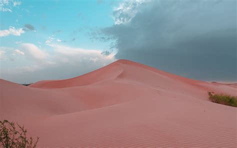 Download Wallpaper 3840x2400 Desert Hill Sand Dunes Bushes 4k Ultra