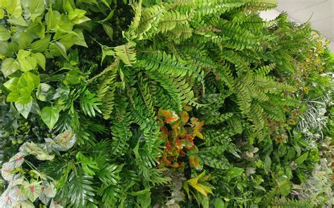 Large Artificial Living Wall Panel Indoor Use