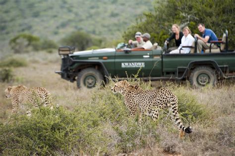 Wildlife Safaris In South Africa Expert Africa