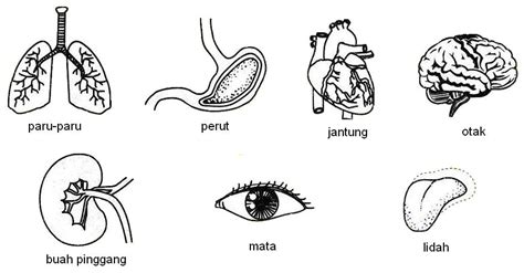 Pdf Nota Sains Tingkatan Bab Sel Sebagai Unit Kehidupan Blog