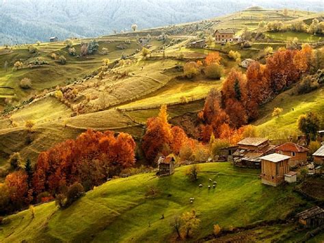 Tuscan Hills In Autumn Fall Hues Autumn Grass Italy Bonito