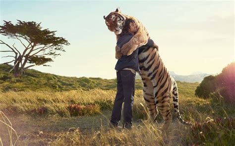 Tiger Hugs A Man Tiger Love Picture Writing Prompts Writing Ideas