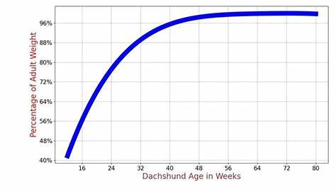 Dachshund Weight Chart By Age