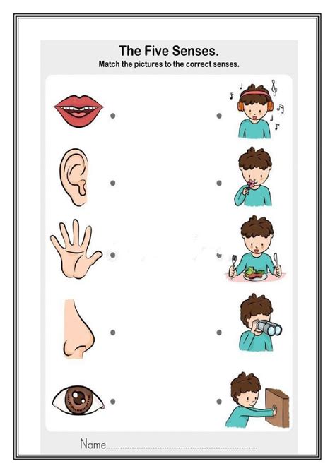 Worksheet Sense Organs Grade 1