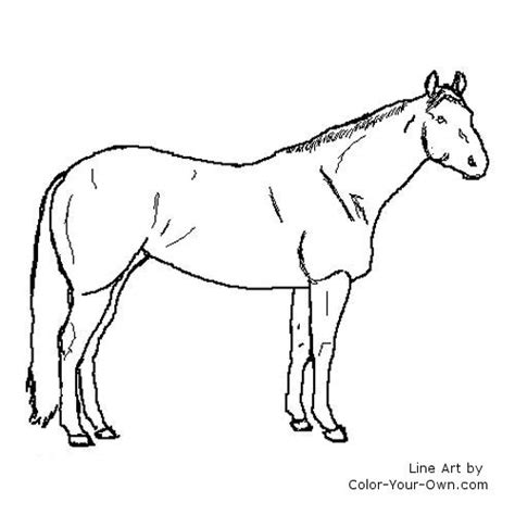 The best free, printable horse coloring pages! Stock Horse Mare Coloring Page
