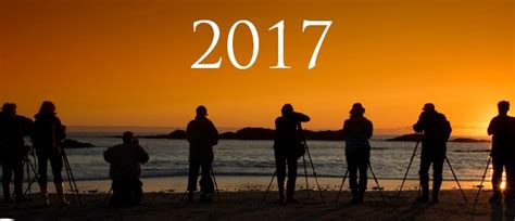 Bing 2019 Year In Review Quiz