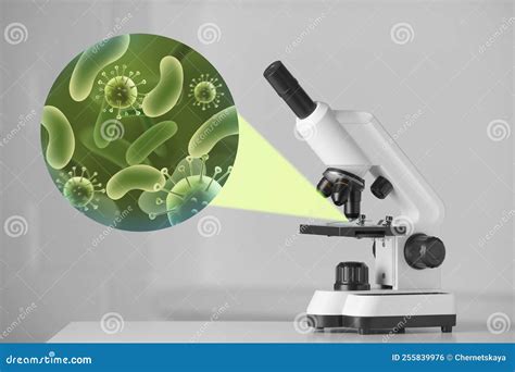 Examination Of Sample With Germs And Bacteria Under Microscope In