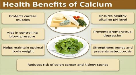 healthyfit advancells calcium rich foods calcium benefits calcium rich diet