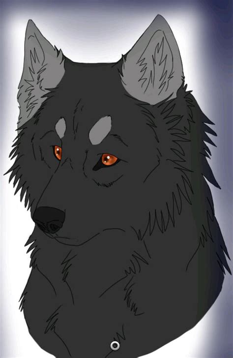 Random Black Wolf With Orange Eyes By Ouivon On Deviantart