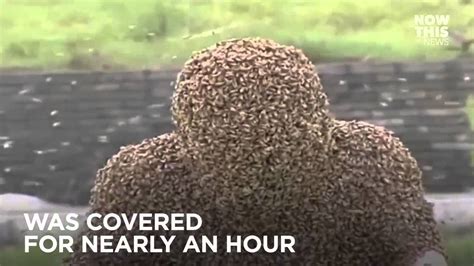 Man Sets The Record For The Longest Time Covered In Bees Youtube