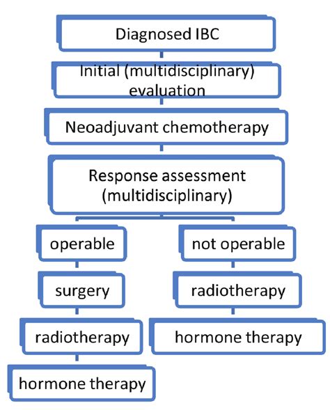 Diagram Of Therapeutic Strategy Of Inflammatory Breast Cancers