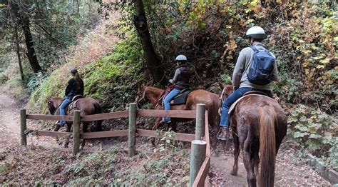 30 Minute Trail Ride At Golden Gate Park In San Francisco Book Tours