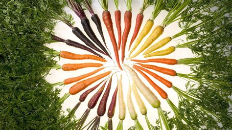Set Of Different Colors Carrots Wallpapers And Images Wallpapers