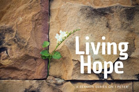 Living Hope Zion Lutheran Church