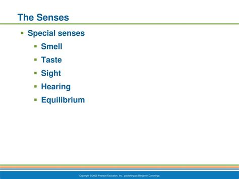 Ppt Special Senses Powerpoint Presentation Free Download Id1866987
