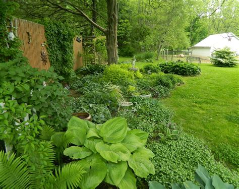 We did not find results for: Over Grown English Shade Garden | Pam's English Cottage ...