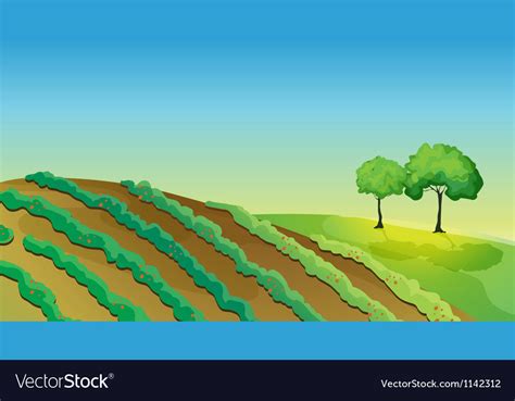 Agricultural Land And Trees Royalty Free Vector Image