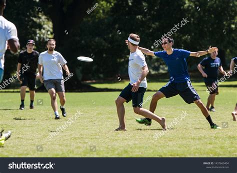 1465 Frisbee Throw Images Stock Photos And Vectors Shutterstock