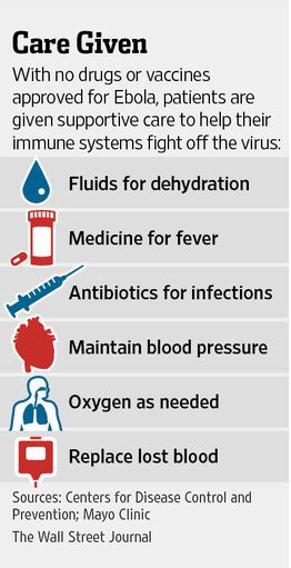 First discovered in 1976, the ebola virus has been a cause of several outbreaks in africa where it also reached other countries including italy, spain, russia, philippines, usa, and. Ideal Cure...: Ebola Virus Disease