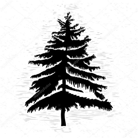 Fir Tree Illustration — Stock Vector © Goldenshrimp 122345712