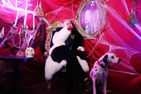 Cardi B As Cruella De Vil The Best Celebrity Halloween Costumes Of 2017 Popsugar Celebrity