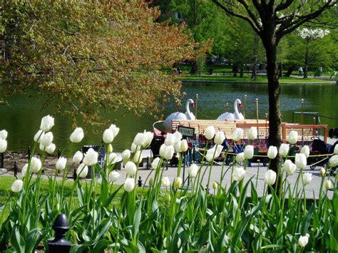 17 Best Botanical Gardens In Boston Photos Holidify