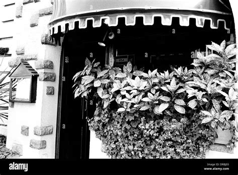 Shop Front Canopy And Leaves London England United Kingdom Uk 1986