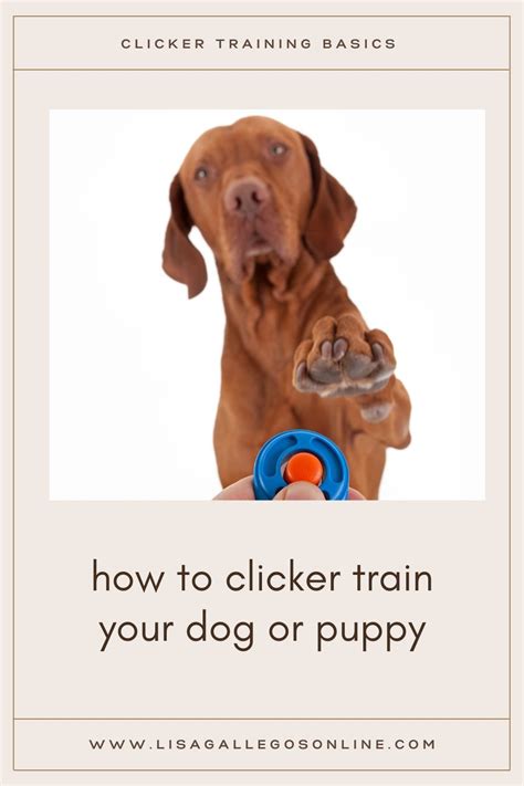Clicker Training Basics How To Clicker Train A Dog Or Puppy In 2021
